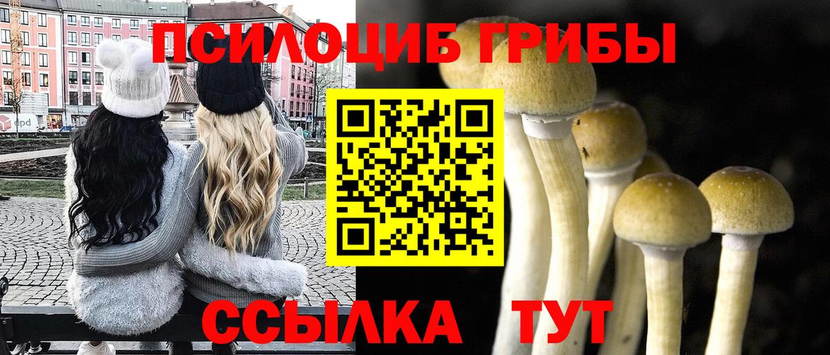 Гулькевичи  Псилоцибиновые грибы ЛСД  продажа наркотиков  Вход с VPN 